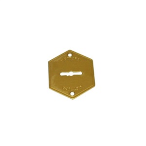 Вид: Спереди